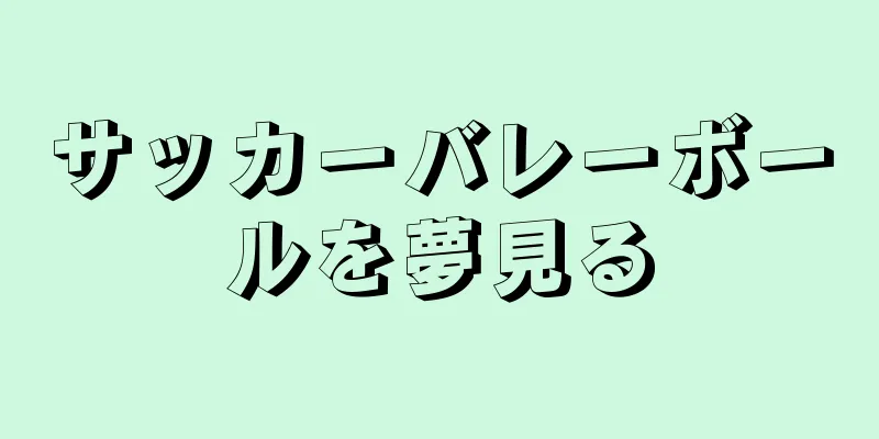 サッカーバレーボールを夢見る