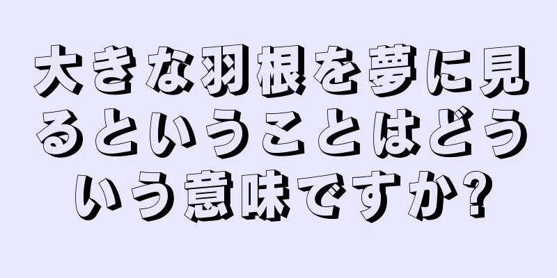大きな羽根を夢に見るということはどういう意味ですか?