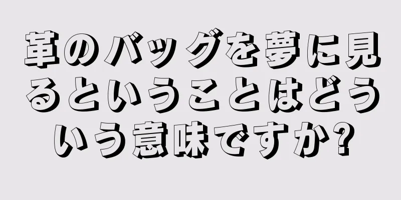 革のバッグを夢に見るということはどういう意味ですか?