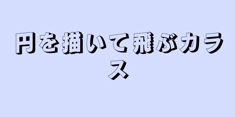円を描いて飛ぶカラス