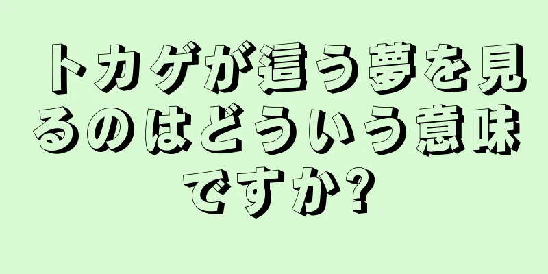 トカゲが這う夢を見るのはどういう意味ですか?