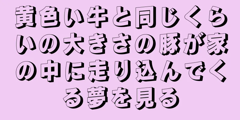 黄色い牛と同じくらいの大きさの豚が家の中に走り込んでくる夢を見る