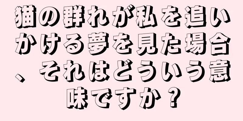 猫の群れが私を追いかける夢を見た場合、それはどういう意味ですか？