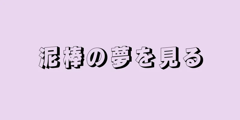 泥棒の夢を見る