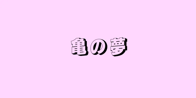 亀の夢