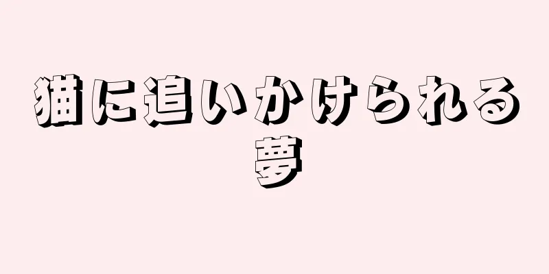 猫に追いかけられる夢
