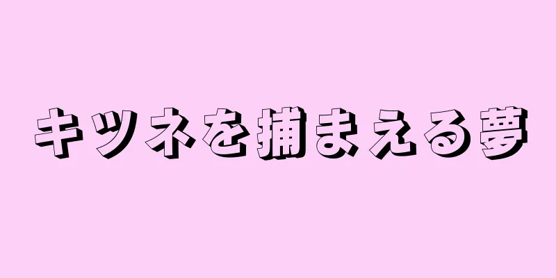 キツネを捕まえる夢