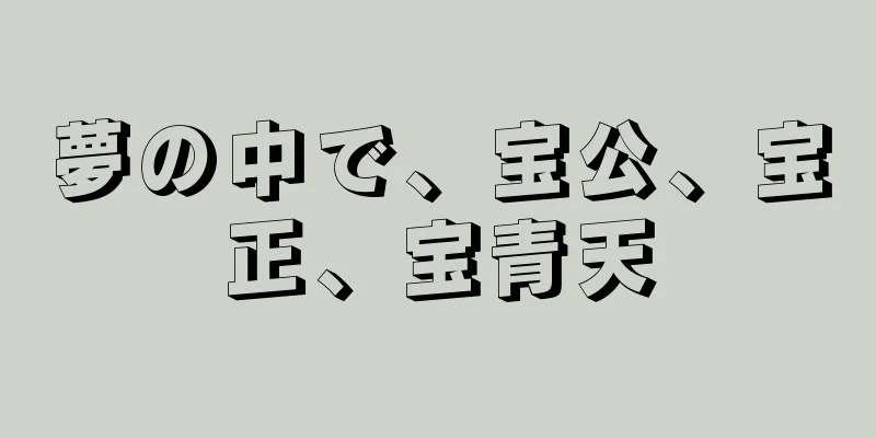 夢の中で、宝公、宝正、宝青天