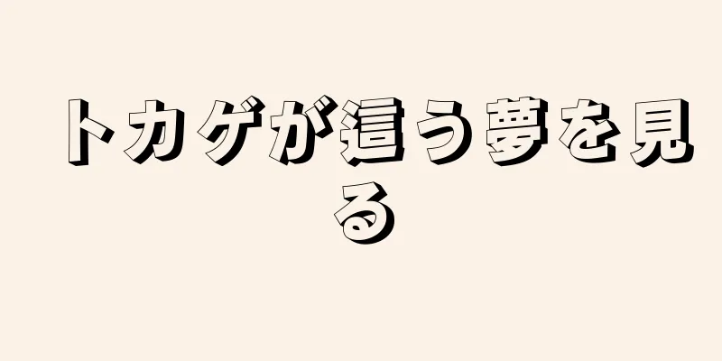 トカゲが這う夢を見る
