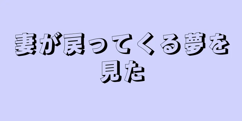 妻が戻ってくる夢を見た