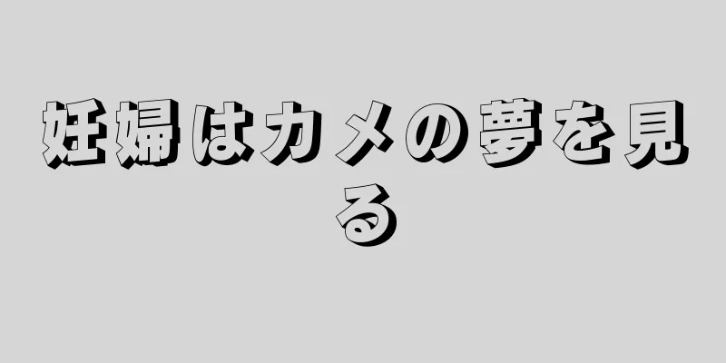 妊婦はカメの夢を見る