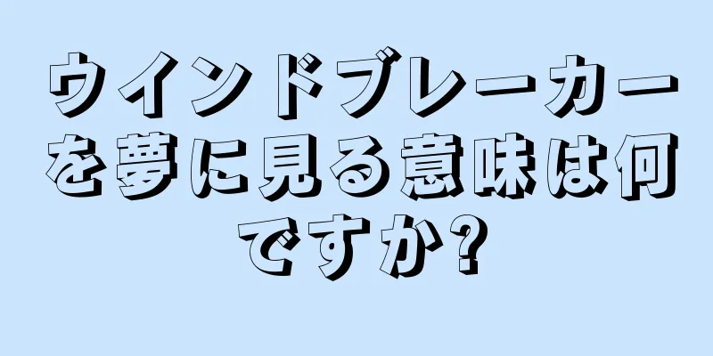 ウインドブレーカーを夢に見る意味は何ですか?