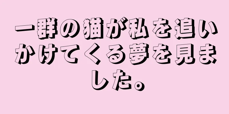 一群の猫が私を追いかけてくる夢を見ました。