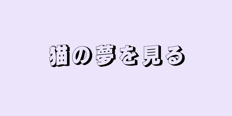 猫の夢を見る