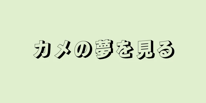 カメの夢を見る