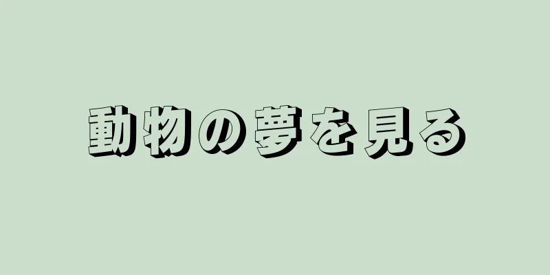 動物の夢を見る
