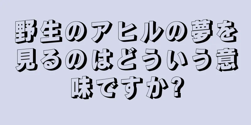 野生のアヒルの夢を見るのはどういう意味ですか?