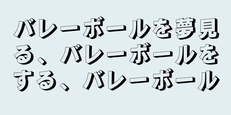 バレーボールを夢見る、バレーボールをする、バレーボール