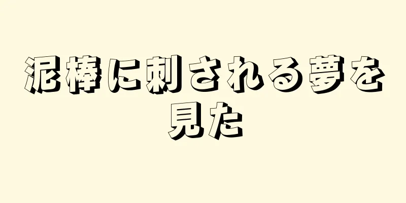 泥棒に刺される夢を見た