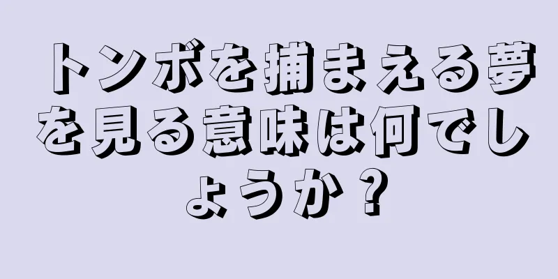 トンボを捕まえる夢を見る意味は何でしょうか？