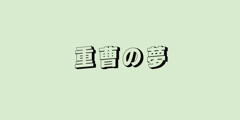 重曹の夢