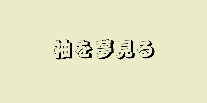 袖を夢見る