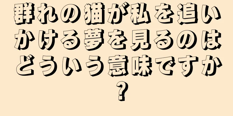 群れの猫が私を追いかける夢を見るのはどういう意味ですか？