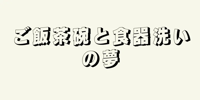 ご飯茶碗と食器洗いの夢