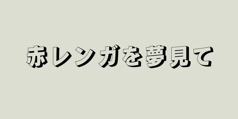 赤レンガを夢見て