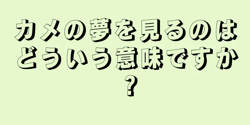 カメの夢を見るのはどういう意味ですか？