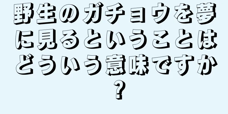野生のガチョウを夢に見るということはどういう意味ですか？