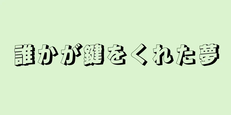 誰かが鍵をくれた夢