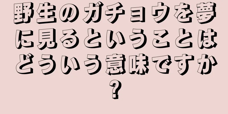 野生のガチョウを夢に見るということはどういう意味ですか?