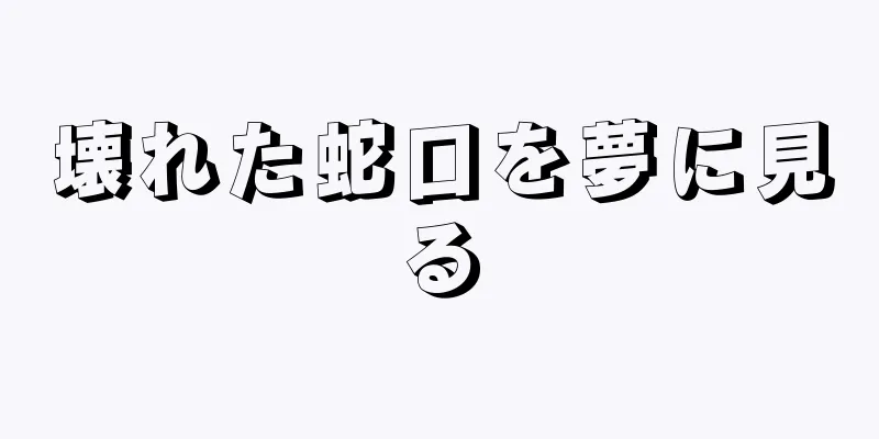 壊れた蛇口を夢に見る