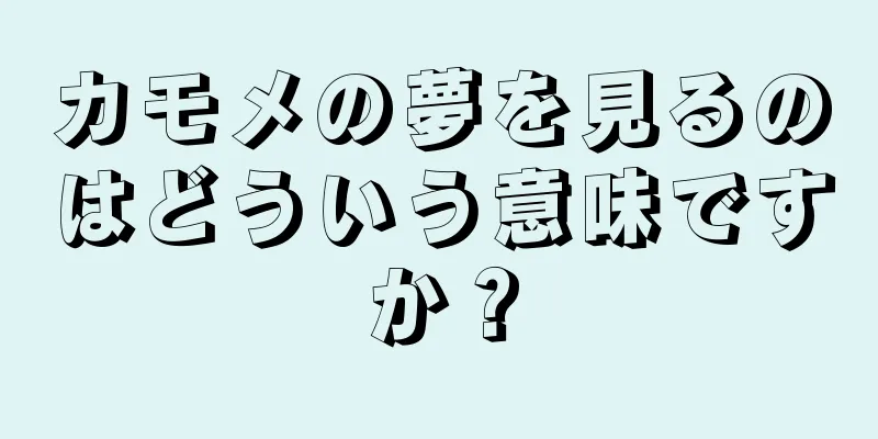 カモメの夢を見るのはどういう意味ですか？