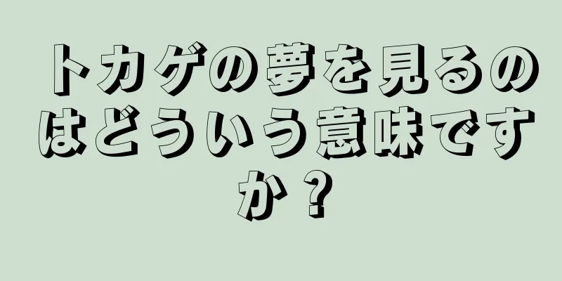 トカゲの夢を見るのはどういう意味ですか？