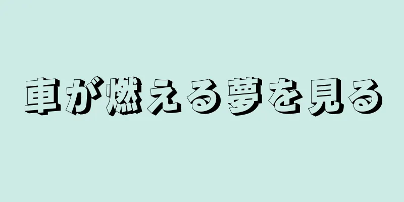 車が燃える夢を見る