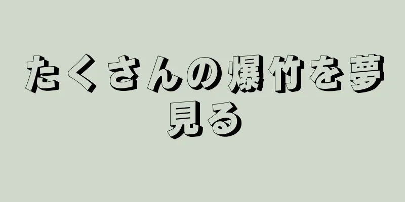 たくさんの爆竹を夢見る