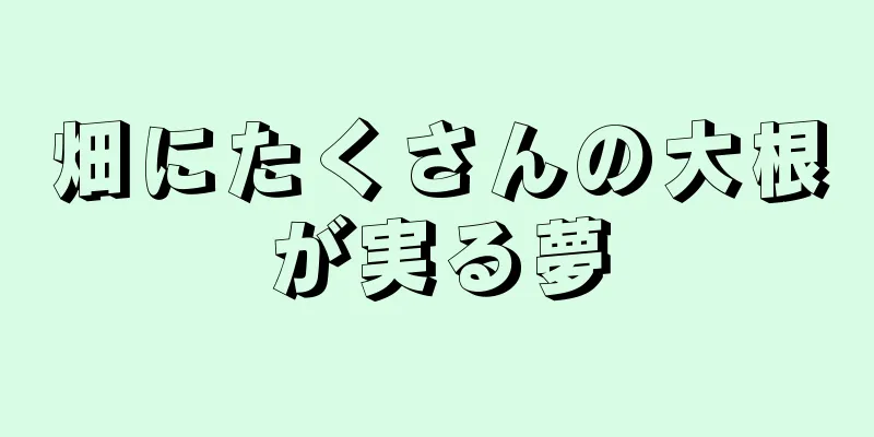 畑にたくさんの大根が実る夢