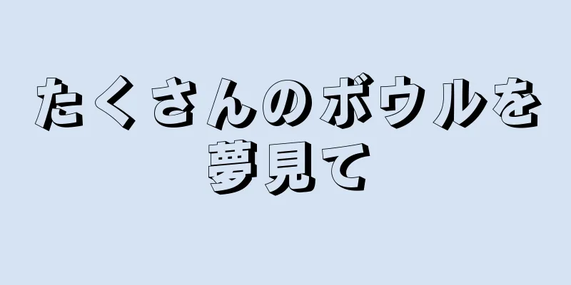 たくさんのボウルを夢見て