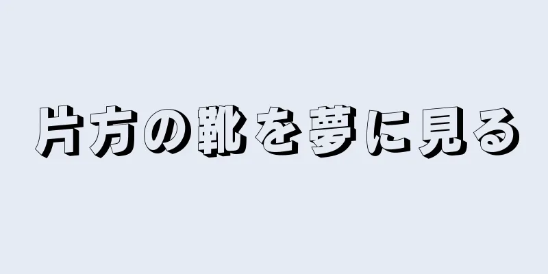 片方の靴を夢に見る