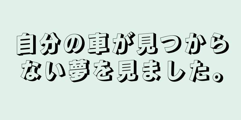 自分の車が見つからない夢を見ました。