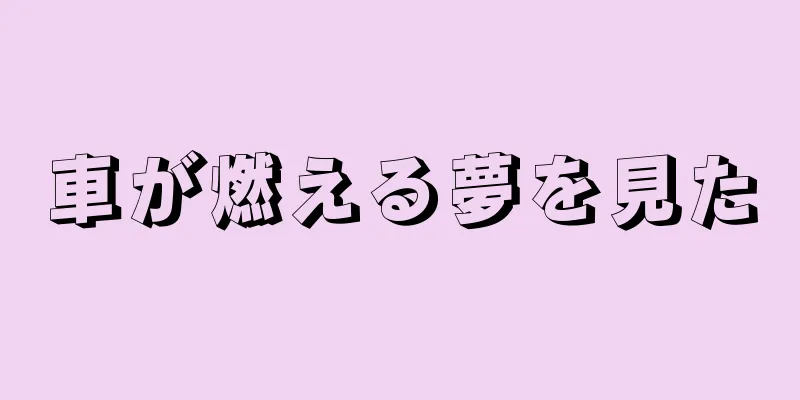 車が燃える夢を見た