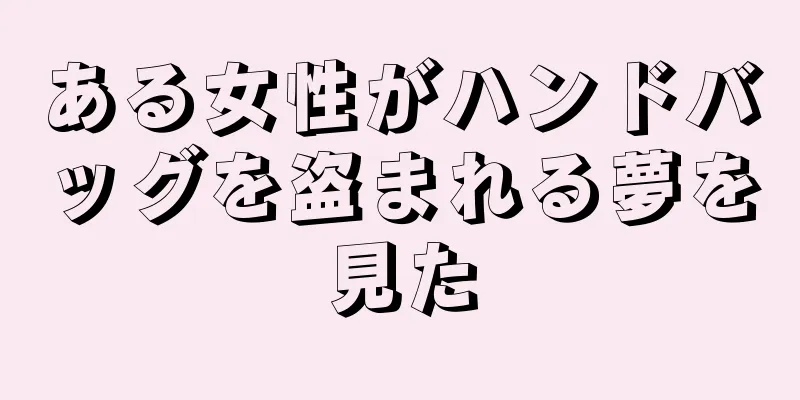 ある女性がハンドバッグを盗まれる夢を見た