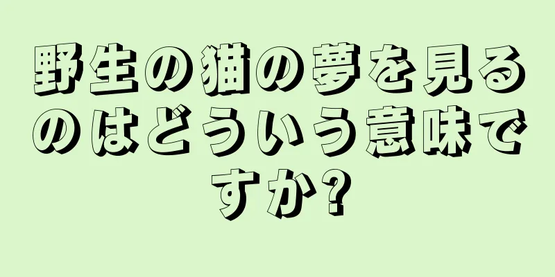 野生の猫の夢を見るのはどういう意味ですか?