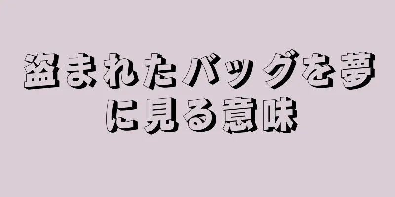 盗まれたバッグを夢に見る意味