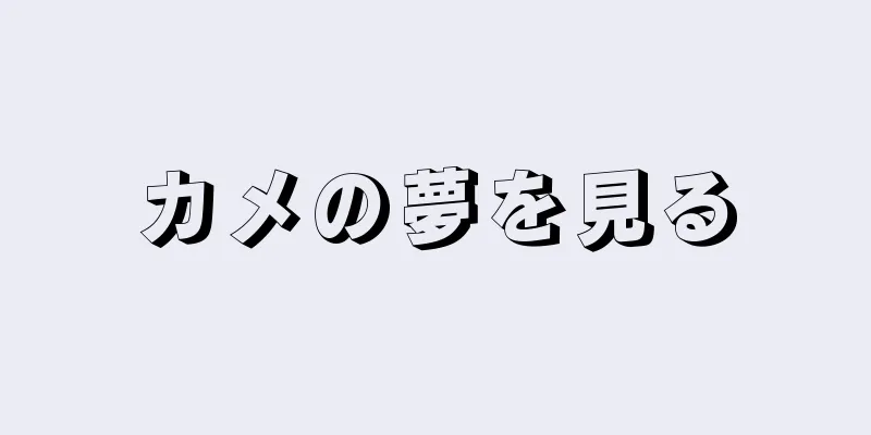 カメの夢を見る