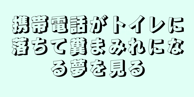 携帯電話がトイレに落ちて糞まみれになる夢を見る