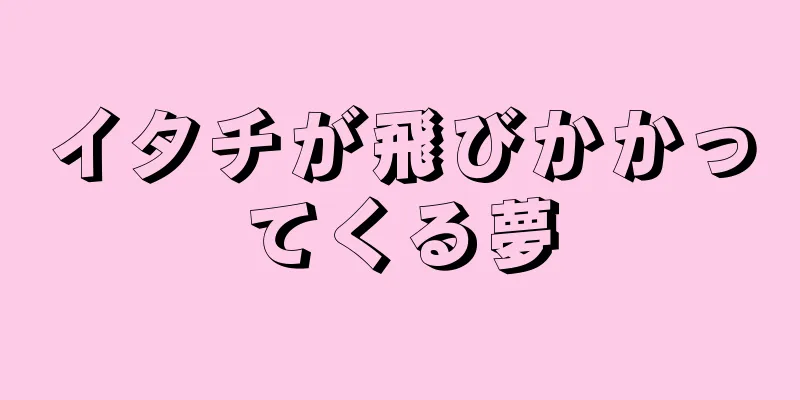 イタチが飛びかかってくる夢