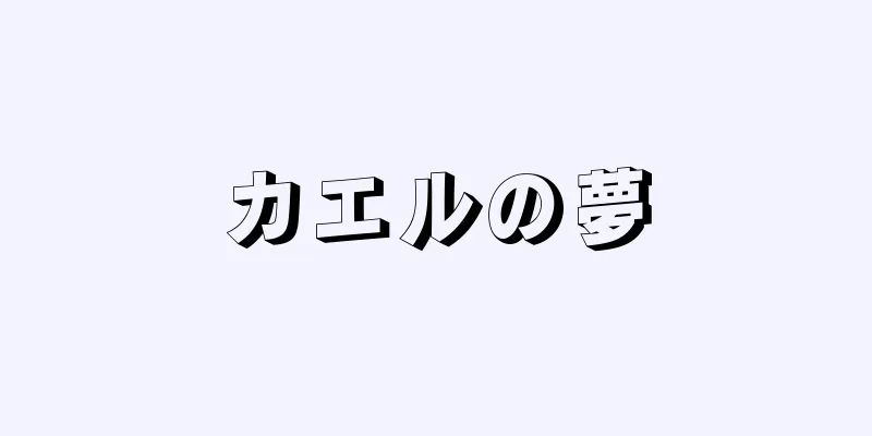 カエルの夢